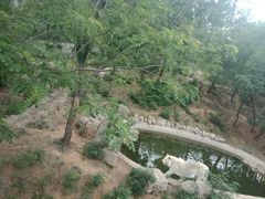 -石家庄市动物园