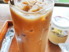 -柴犬高等学院·狗咖·柴犬售卖·宠物训练