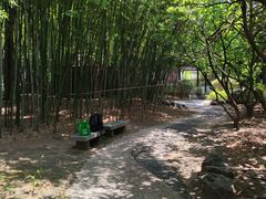 -江宁织造博物馆