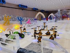 -宁波冰雪大世界(北仑区)