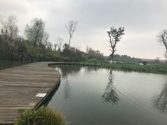 -白鹭湾湿地公园