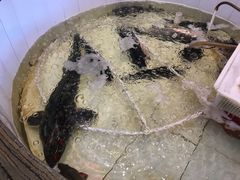 -咱屯子铁锅炖直营店(南湖大路店)