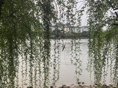 -福道