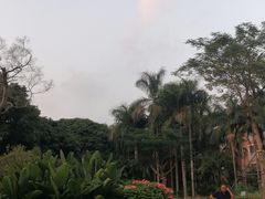 -四海公园(南山区)
