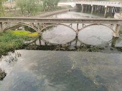 -商丘市人民公园
