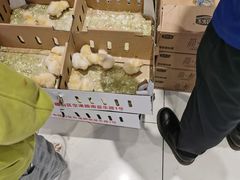 -丽达购物中心(崂山店)