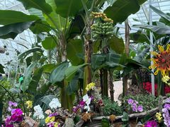 -石家庄市植物园