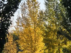 -乌素图国家森林公园