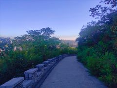 -府君山公园