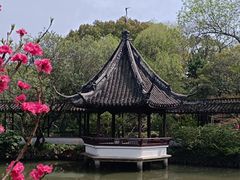 -上海醉白池公园