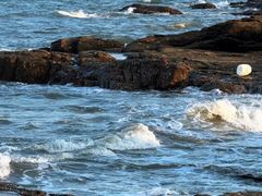 -日照海滨国家森林公园