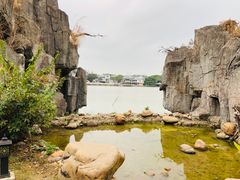 -海上田园