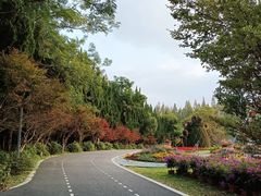 -东平国家森林公园