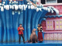 -华夏文旅海洋公园