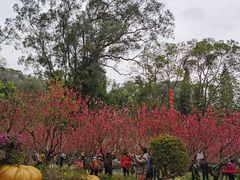 -桃花涧