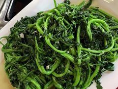 -麻奢鸽农庄·梦里水乡