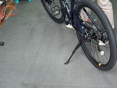 -道路口单车爱瓦士dahon大行