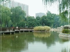 -西安市长乐公园