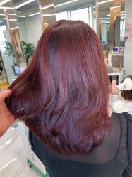 -潘多拉Hairsalon