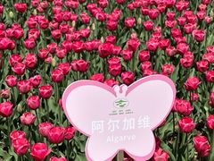 -玄武湖景区-情侣园游乐场