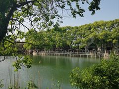 -白马涧龙池景区