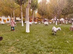 -九十九顶毡房(阜石路店)