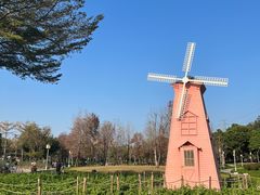 -顺峰山公园