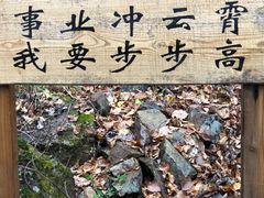 -茅兰沟国家森林公园
