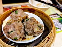 陈皮牛肉球-添好运点心专门店(北角店)