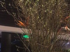 -上海锦江汤臣洲际大酒店壹阶层