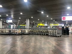 -谢列梅捷沃国际机场
