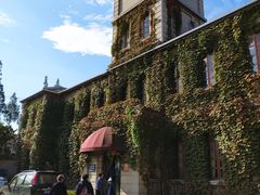 -半岛公馆(淞兴西路店)