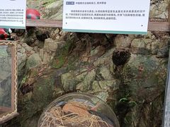 -青青世界