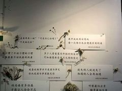 -厦门失恋博物馆(中华城店)