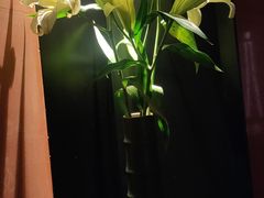 -初蓉丨遇见新川菜(亲贤街荣耀店)