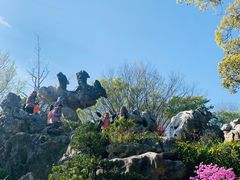 -上海鲜花港