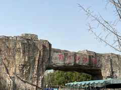 -合肥野生动物园