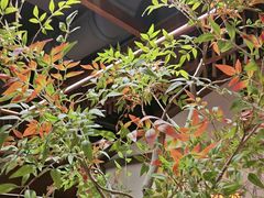 -贡宴盐帮菜自贡驻京联络处餐厅