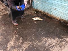 -姥家大锅台水库渔家