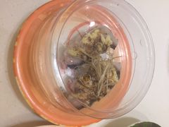 -禾绿寿司(星光68广场店)