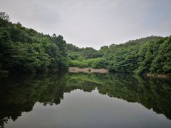 -青龙山国家森林公园
