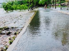 -永定河休闲森林公园