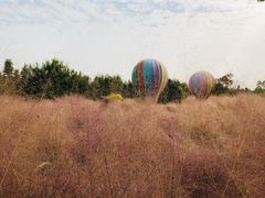 -同里国家湿地公园