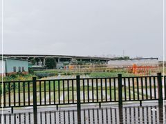 -新地休闲农场