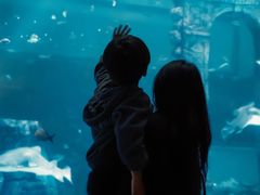 -南昌融创海世界