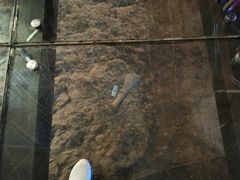 -世界恐龙谷景区