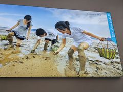 -蛇蟠岛