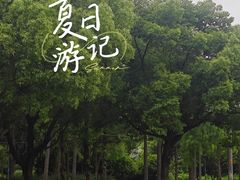 -贡湖湾湿地公园