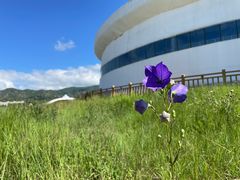 -敕勒川草原文化旅游区