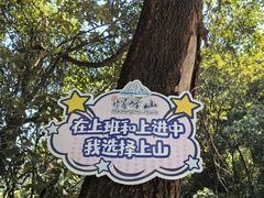 -广州市帽峰山景区